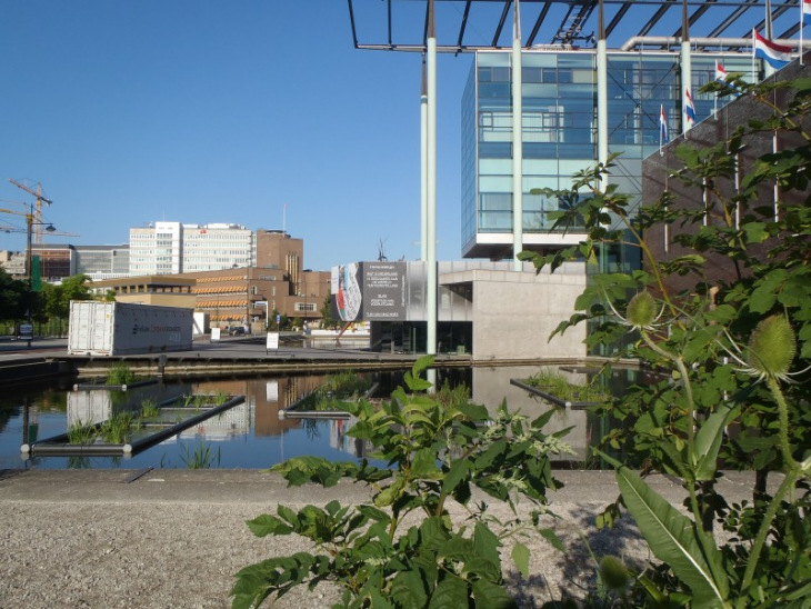 De Nieuwe Tuin, Vijverplein