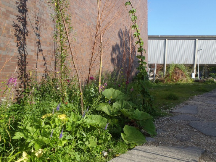 De Nieuwe Tuin, Stakenbosje