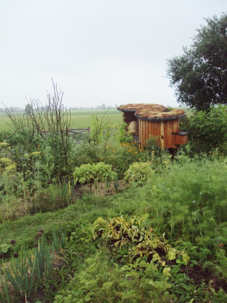 Kippenhok, bijenstal en moestuin Spannum