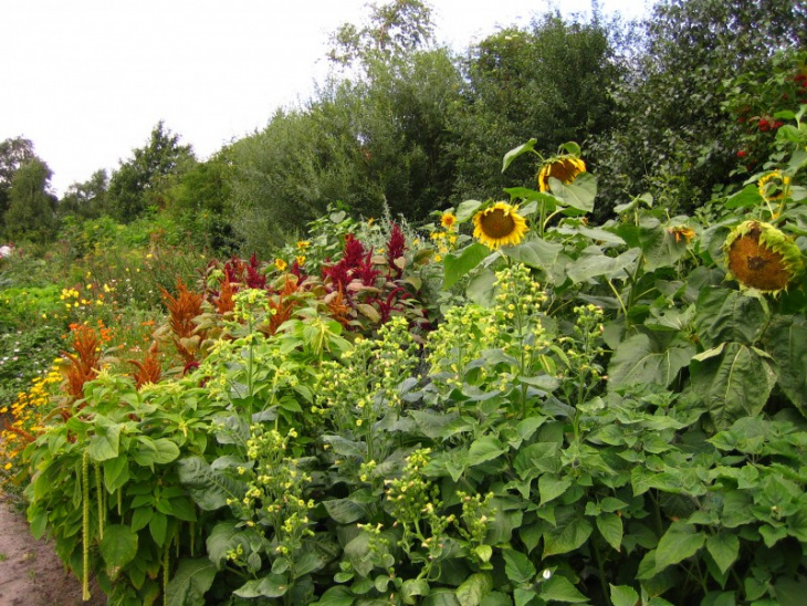 Wroeten-moestuin