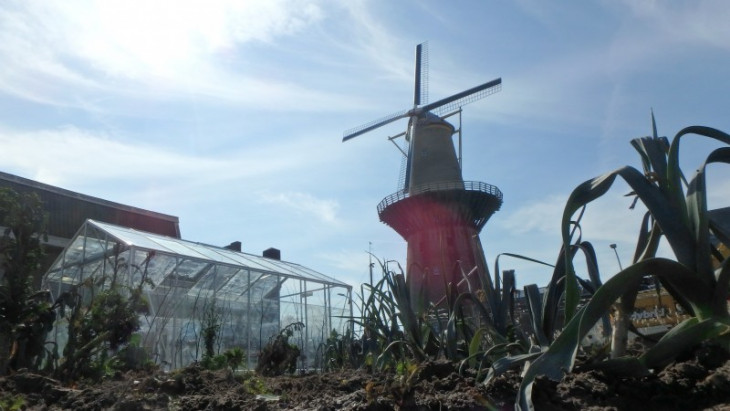 Farm of the World - Schiedam